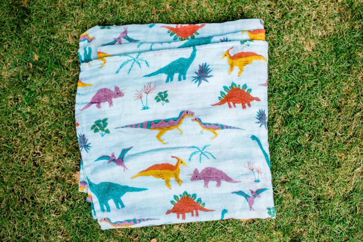 Embroidosaurus Collection