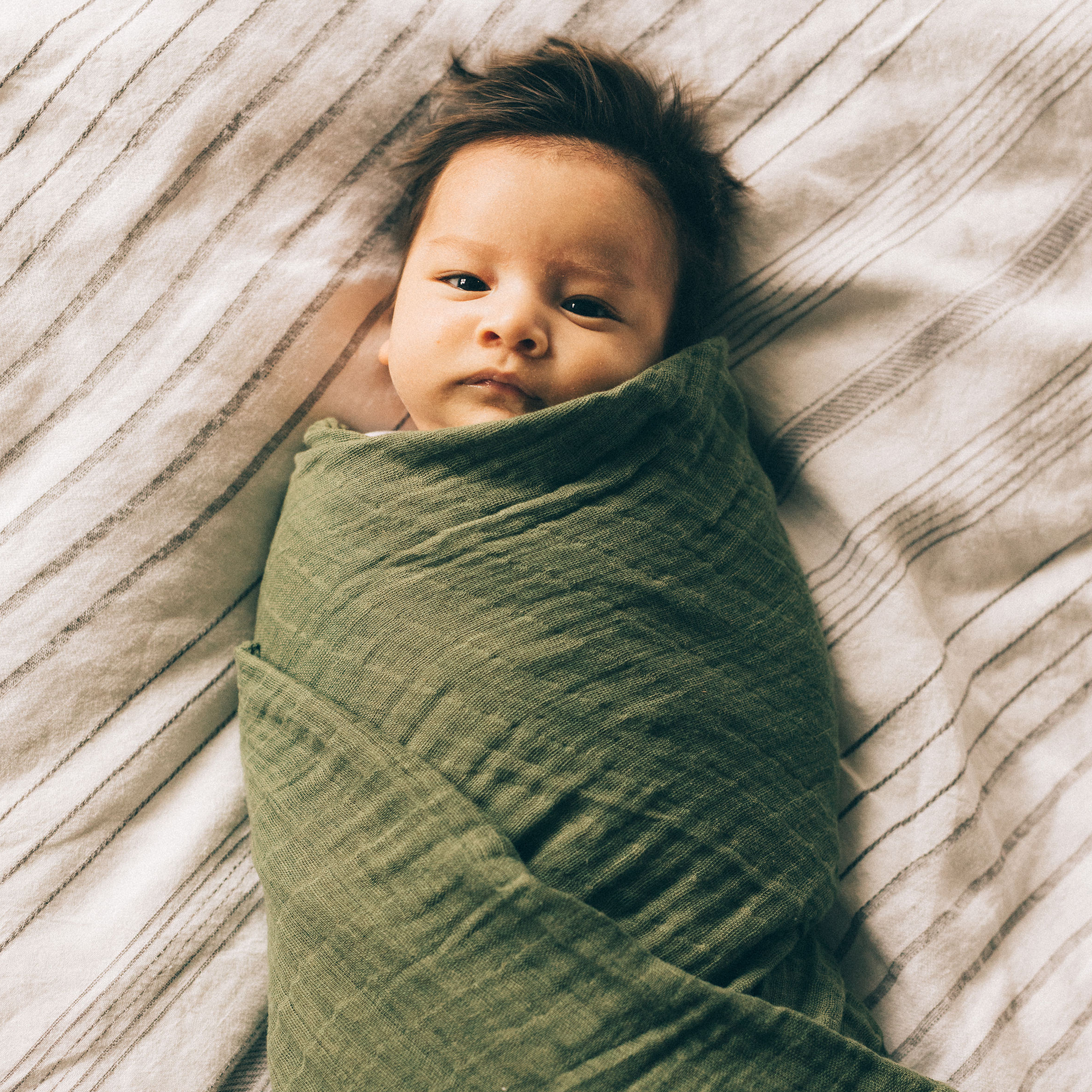 Llama swaddle hot sale
