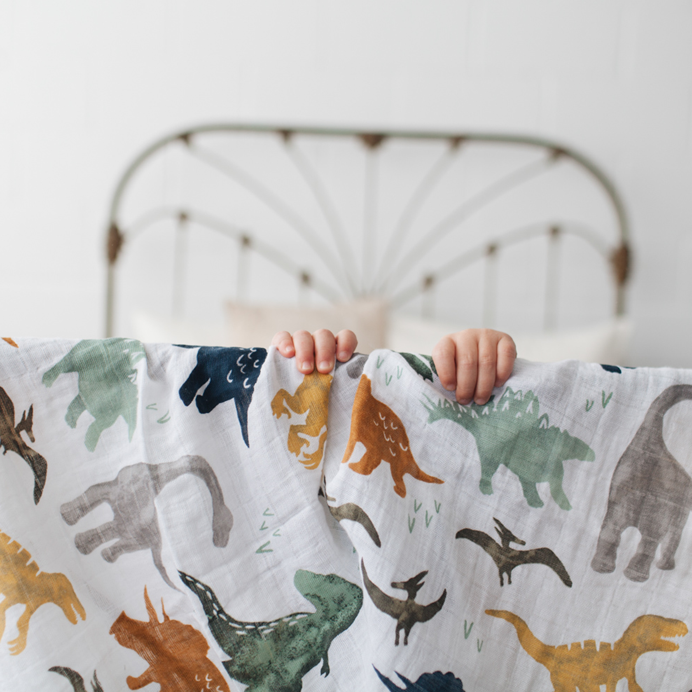 Dinosaur muslin deals swaddle