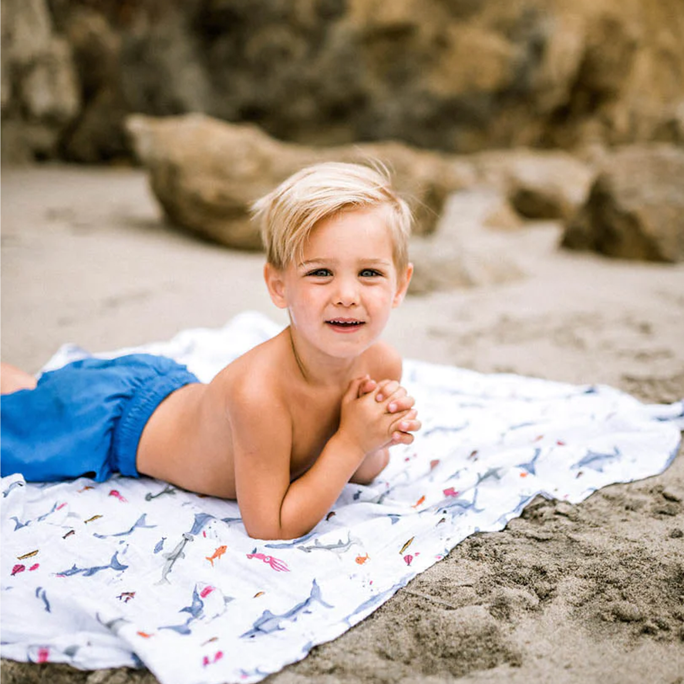 Shark swaddle hot sale